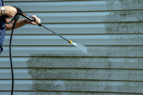 Best Commercial Building Pressure Washing  in Hollandale, MS