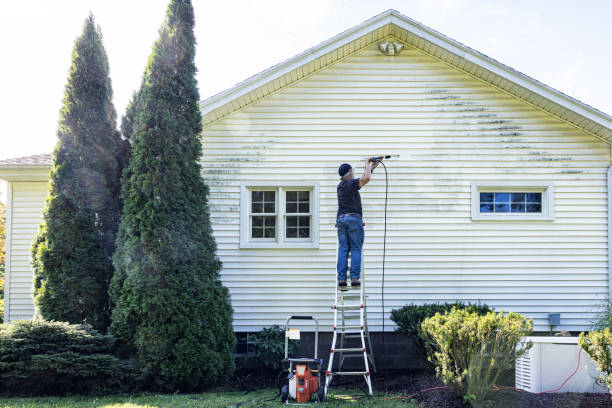 Best Deck Cleaning Services  in Hollandale, MS