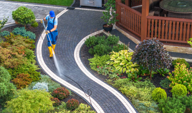 Best Concrete Pressure Washing  in Hollandale, MS